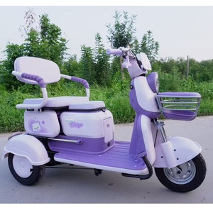 तीन पहिया इलेक्ट्रिक स्कूटर (TF-TRK251) - Product Image 3