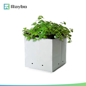 RAYBO Plant Grow Bags White &amp; Black Plastic Nursery Seedling <strong>Pots</strong> with Drain Holes for Garden <strong>Vegetables</strong> Flowers - Product Image 5