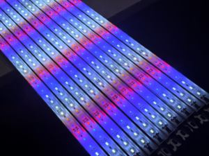 Lámpara de acuario LED de espectro completo para plantas IP68 Luz de corales para pecera Azul/RGB/RGBW CCT Colores Blanco/Verde/Rojo Emisión - Product Image 3