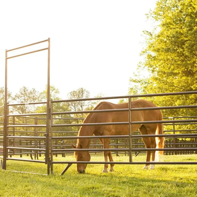 Heißer Verkauf in Nordamerika tragbare verzinkte Rohr verwendet Heavy Duty Crowding Horse Country Corral Paneele