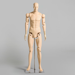 <span class=keywords><strong>Mannequin</strong></span> masculin mobile pleine grandeur pour <span class=keywords><strong>femme</strong></span>, couleur peau, avec articulations mobiles, bras - Product Image 2