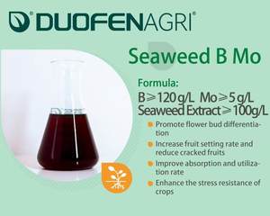 Fertilizante líquido denso en nutrientes B120g/L Mo5g/L Fertilizante <span class=keywords><strong>de</strong></span> elementos traza en aerosol foliar - Product Image 5
