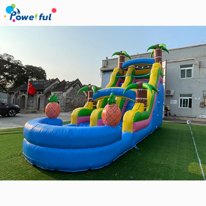 Tobogán de agua inflable de gran piña de nuevo diseño con piscina para niños, Tobogán al aire libre - Product Image 1