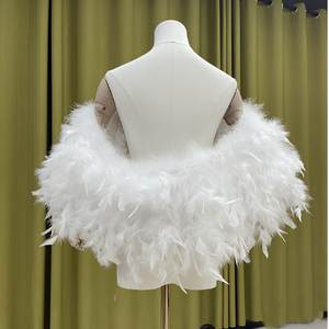 Écharpes en fausse <span class=keywords><strong>fourrure</strong></span> de champagne de qualité supérieure, boléro de <span class=keywords><strong>mariage</strong></span>, élégant foulard de soirée de mariée, enveloppe de fête de luxe, texture dimensionnelle 115*30cm - Product Image 2