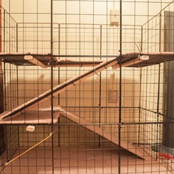 Cage de ferme de lapin soudée galvanisée cage de ferme de lapin soudée galvanisée cages de lapin industrielles d'élevage commercial - Product Image 2