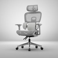Chaise de bureau ergonomique réglable Chaise en maille de style moderne avec fonction pivotante et design en filet Tissu confortable