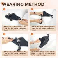 Attelle de soutien réglable pour genou et jambe, protège-jambe pour chien pour la récupération après une activité en extérieur