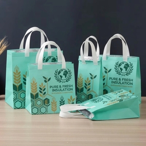 Bolsa Térmica de Embalaje de Papel de Aluminio No Tejido, Reciclable, de Grado Alimenticio, Moderna y a la Moda, Producción Personalizada OEM/ODM Directa de Fábrica - Product Image 1