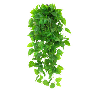 Vignes artificielles de lierre vert 30cm-100cm, plantes suspendues en soie pour la décoration du salon - Product Image 5