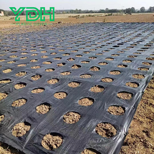 Tela de paisaje biodegradable PE/PP/<span class=keywords><strong>red</strong></span> tejida de plástico UV para control de malezas cubierta de suelo corte de propiedades <span class=keywords><strong>antihierba</strong></span> - Product Image 2