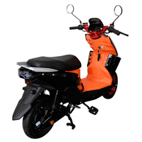 Moto électrique sans balais 1000W 48V 60V avec frein à disque hydraulique, CKD SKD, scooter électrique pour adulte, vélo électrique urbain