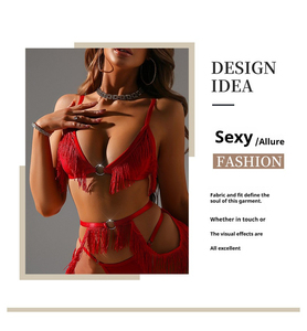 Soutien-gorge triangle transparent avec jarretière 3 pièces Boho Chic vêtements de nuit-ensemble de lingerie à pampilles de luxe - Product Image 6