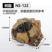 NOMOYPET Nouveau Design Reptile Accessoires Résine Poisson Fossile Décoratif Paysage Reptile Cacher Cave Abri