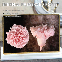 Fleur d'œillet stabilisée éternelle en gros, pour la Fête des Mères, grande tête de 4-5 cm, longue durée (3-5 ans), directement de l'usine