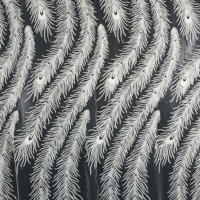 Tissu de dentelle 3D Design de plumes de paon Tissu de dentelle de haute qualité avec paillettes brillantes et perles