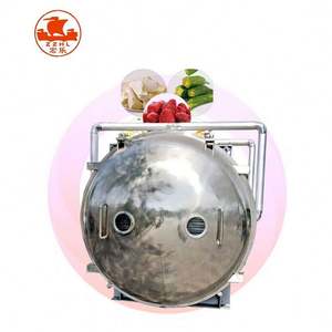 Freeze <b>Dried</b> Food <b>Plant</b> Industrial Fruit and Vegetable Freeze Dry Machine for Sale Lyophilizer Freeze Dryer - Product Image 6