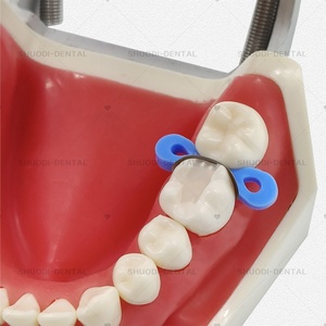 20 pz/pacco di matrice dentale a matrice Tofflemire bande S/M/L matrici sagomate sezionali con blocchi di consumo dentale - Product Image 6