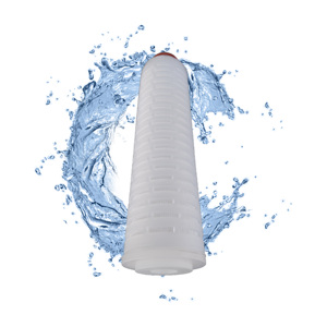 Cartouche filtrante plissée hydrophile en PVDF de 10 pouces, 0,22 micron, pour filtre à membrane - Product Image 1