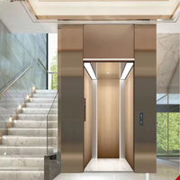 Ascensore Compatto per Villa, Design a Risparmio Energetico, Sollevamento Automatico, Dimensioni Personalizzabili, OEM/ODM Accettati