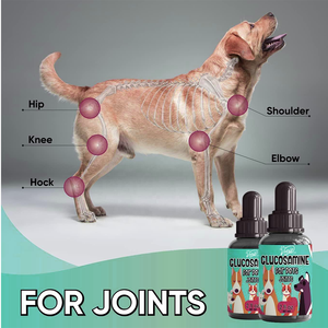 قطرات جلوكوزامين 10 في 1 من شركة تصنيع المعدات الأصلية لحماية الحيوانات الأليفة المعقدة من فيتامين الجلوكوزامين سريع الامتصاص المناعي للكلاب لحماية البراغيث من المفاصل الصحية المعوية - Product Image 3