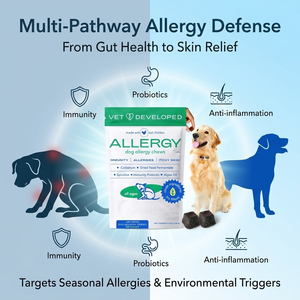 Allergie d'usine et probiotiques immunitaires chiens prébiotiques santé peau et manteau mâche doux quotidien <span class=keywords><strong>pour</strong></span> intestin digestif supplément naturel <span class=keywords><strong>pour</strong></span> animaux de compagnie - Product Image 4