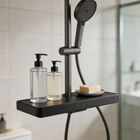 Système de douche pluie moderne avec étagère de rangement, gris anthracite brossé, pour projets OEM d'appartements