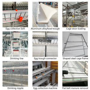 Jaula de Cría Automática para Gallinas de 3/4 Niveles, Tipo Nuevo, Acero Q235 Galvanizado en Caliente, Capacidad para 90-160 Gallinas - Product Image 6