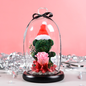 Lujosa Idea de regalo Hecha a mano Oso de Navidad conservado Oso rosa - Product Image 3