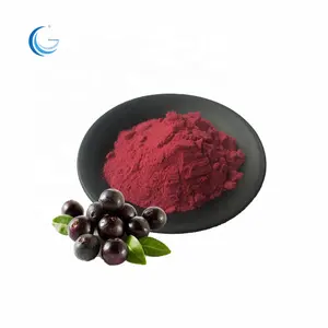 ขายส่งจำนวนมากบริสุทธิ์100% ธรรมชาติอินทรีย์ Acai Berry ผงบราซิล