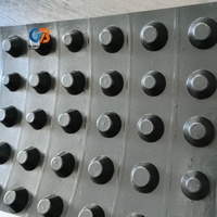 Planche de drainage de toiture HDPE à fossettes de 10 mm, très vendue, tapis de drainage pour toiture verte, drainage de fondation pour jardin sur toiture