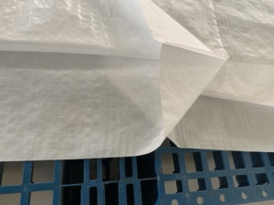 60*90cm trắng <span class=keywords><strong>PP</strong></span> dệt Túi 50kg dệt Bao với một lần duy nhất khâu dệt túi với lót - Product Image 6