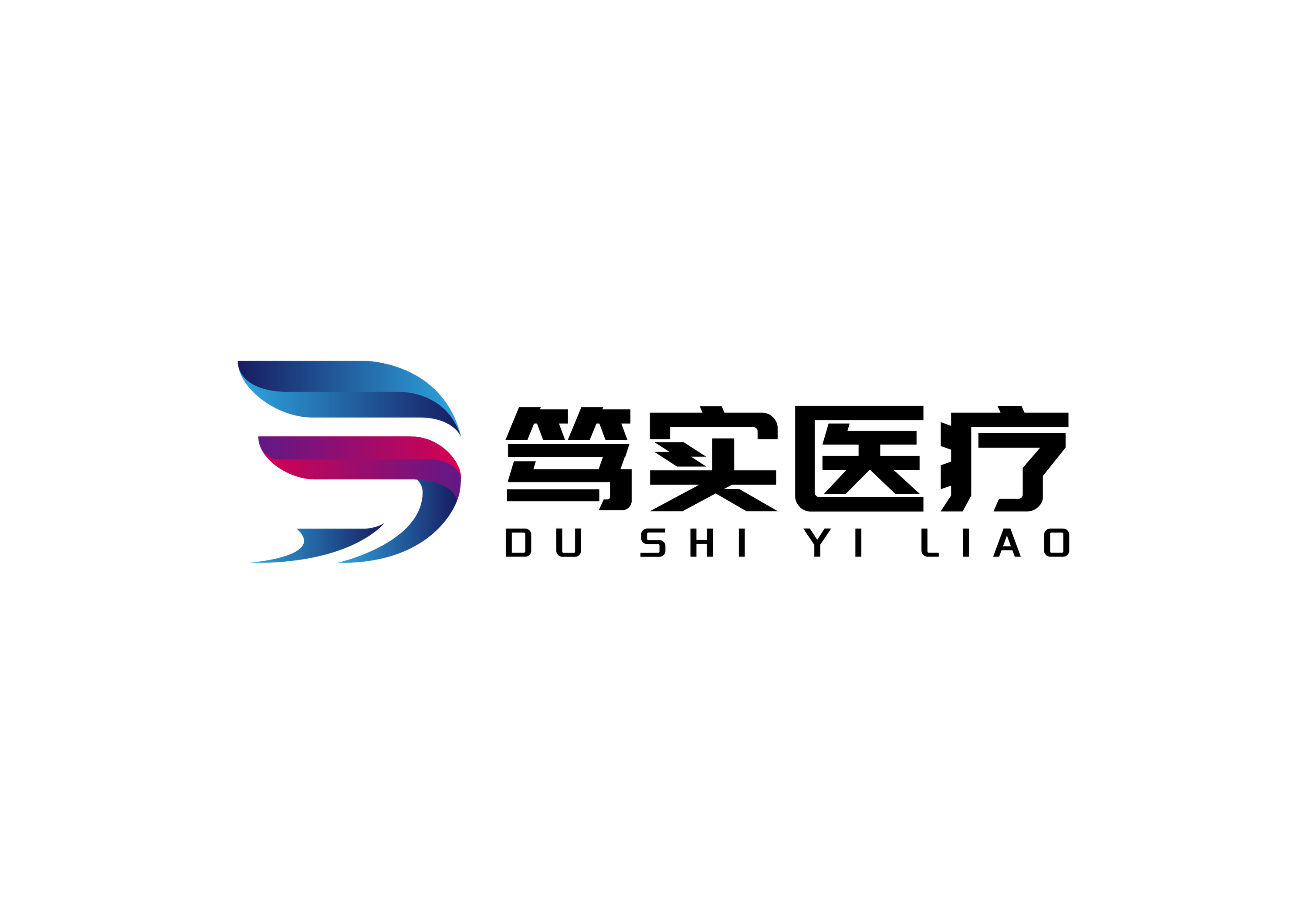 Shandong Dushi Medical Technology Co., Ltd. logo