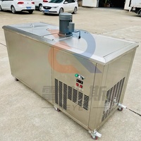 Machine à glace commerciale de bloc 500 kg par bloc de glace de capacité de jour faisant l'équipement pour l'industrie de pêche