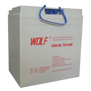8V T875 Deep Cycle Lead Acid <b>Batteries</b> 170AH for Golf Carts and Sightseeing Buses - Product Image 1