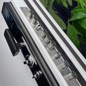 Интеллектуальная защитная дверь — полностью автоматическая с распознаванием лиц и управлением через мобильное приложение, высококачественная противовзломная входная дверь - Product Image 3