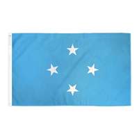 Drapeau de la Guyane de haute qualité, conforme à la norme ISO, fabricant professionnel de grands drapeaux nationaux du monde entier, 100% polyester, durable, pour usage sportif