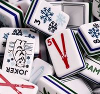 Ensemble de Mahjong Américain Portable et Moderne en Acrylique, 5 Couches, 160 Tuiles, Motif Neige Sculptée, de Luxe, pour le Divertissement Familial