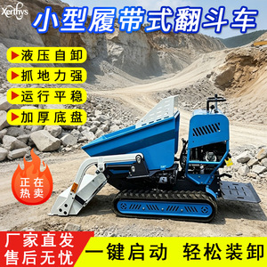 Camión Mezclador Autodescargable Mini sobre Orugas Zhongmei 0.3M3, Equipo para Manejo de Materiales de Construcción - Product Image 5