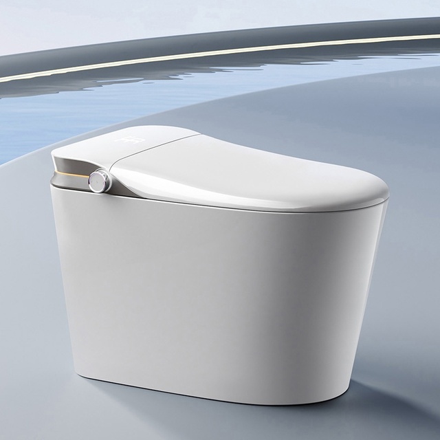 Hwell Smart Toilet Intelligent Sanitary Ware Ceramic Multifunction Floor Mounted Inodoro Auto Foot Sensor Bathroom Smart Toilet