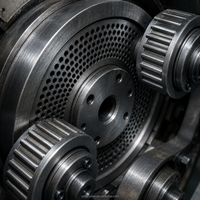 Petite machine à granulés d'aliments électriques, haute productivité, taille des granulés de 2 à 12 mm, capacité de 1 à 1,5 t/h, pour l'élevage de lapins, de poulets et de volailles