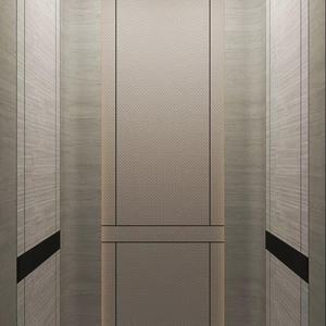 Ascensor de Pasajeros FUJI para Villa/Taller en China, de Acero Inoxidable, Alta Capacidad: 630kg (8 Personas)/800kg (10 Personas)/1000kg (13 Personas) - Product Image 5