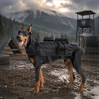 Gilet de camouflage pour chien, style tactique extérieur, nylon, boucle à dégagement rapide, réglable, respirant, durable, lavable, pour chiens de taille moyenne et grande
