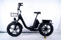 Vélo électrique pour livraison, 750W 48V 50Ah, pneus larges 20x4.0 pouces, vélo électrique avec double batterie, vélo électrique à longue autonomie