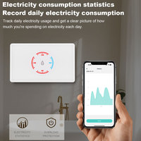 Interruptor de Calentador de Agua Inteligente OCY WIFI con Panel de Control de Pared, Cristal 2.5D con Sensación Táctil, Compatible con Tuya APP, 3500W Estándar
