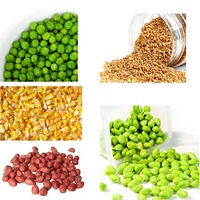 Balance doseuse linéaire pour poudre, haricots, maïs, aliments pour animaux de compagnie, noix, économique, automatique, intelligente, double tête