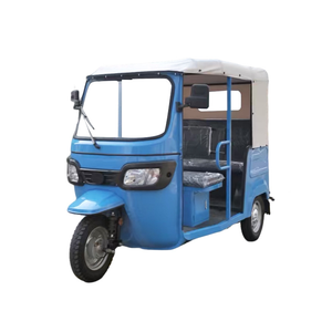 Venta Directa de Fábrica, Triciclo Motorizado de Tres Ruedas, 250cc, Gasolina, Carrocería Abierta, Uso para Pasajeros, Alta Capacidad de Carga, 48V - Product Image 6