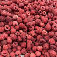 Iqf Bevroren Verse Frambozenfruit Bevroren Frambozen Bulkstijl Verpakking Cif Fca Fob Cfr Exw