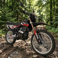 Moto tout-terrain Power Max 250CC 4 temps monocylindre refroidie par air avec essence et moteur sans balais