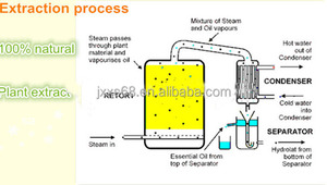 Fabrication de cosmétiques de parfum pur <span class=keywords><strong>d</strong></span>'huile essentielle <span class=keywords><strong>d</strong></span>'<span class=keywords><strong>Ylang</strong></span> <span class=keywords><strong>Ylang</strong></span> <span class=keywords><strong>d</strong></span>'approvisionnement <span class=keywords><strong>d</strong></span>'usine - Product Image 6