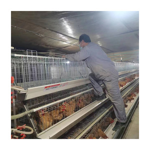 TBB yeni çelik hayvan kafesleri a-tipi kafes tavuklar kuşlar otomatik katman tavuk Coop pil kafes tavuk kuş hevesleri 'go-to - Product Image 4